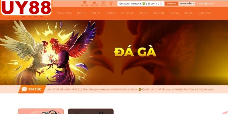 Khái quát hình thức Đá Gà UY88 rõ ràng