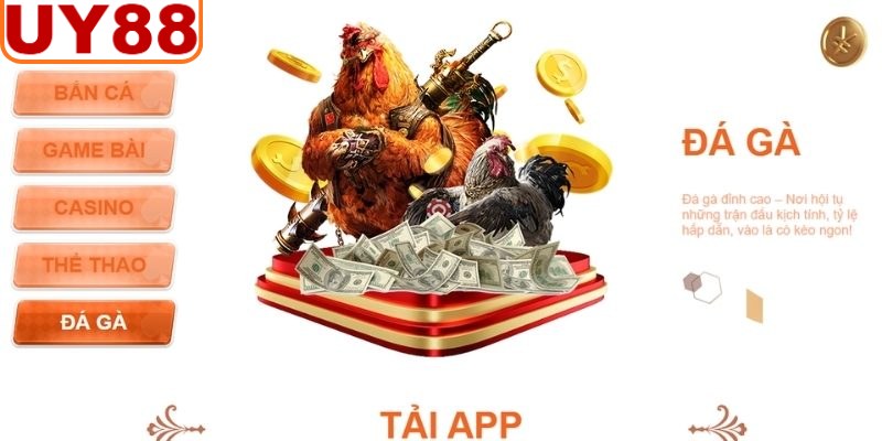 Đá Gà UY88 kịch tính theo từng trận đấu